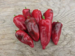 Emcelli hot pepper on wooden surface