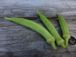 Three Yalova Akkoy okra pods photographed on an old wooden cabinet.