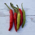 Hot Pepper Seeds, Süs Cin