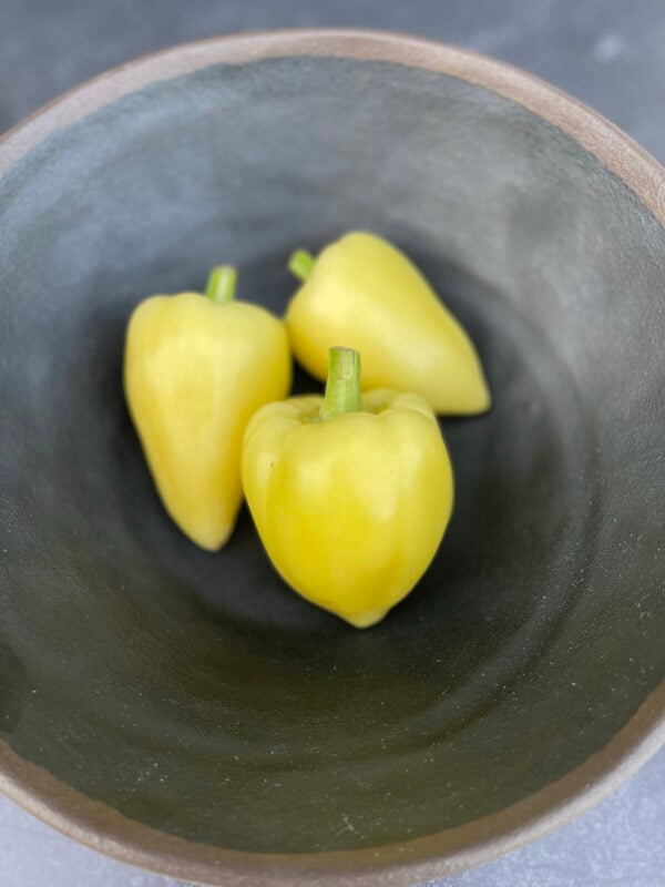 Three Somborka peppers placed in a pho bowl.