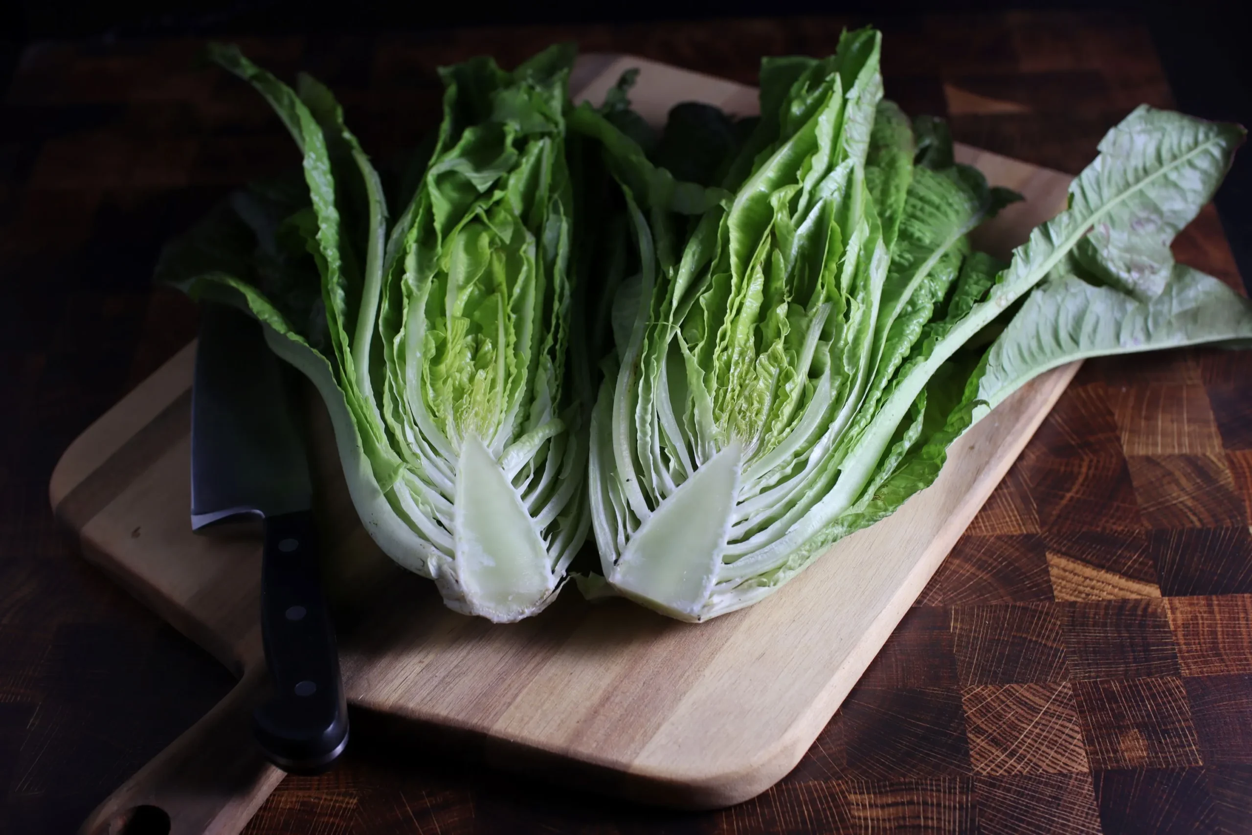 Les Oreilles du Diable1 2 scaled