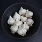 Garlic Bulbs, Music Hardneck (Porcelain)