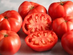 Fresh red Ege Pembesi tomatoes, one sliced open.