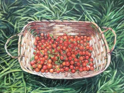 Cherry tomato illustration.