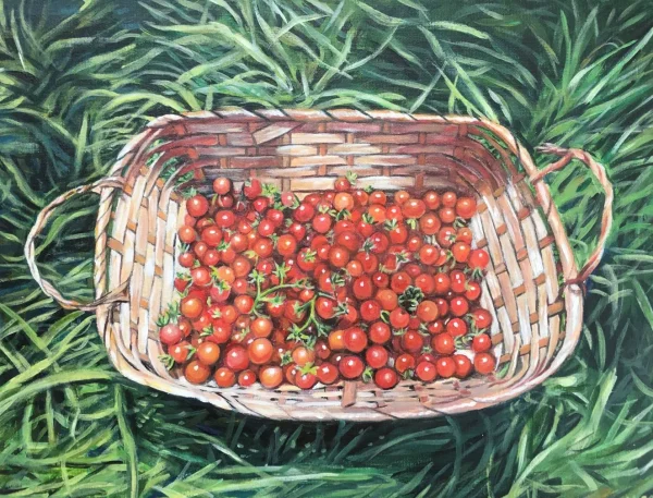 Cherry tomato illustration.