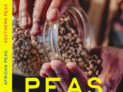 Hands holding jar of assorted Southern peas on the cover of Crop Stories Peas issue