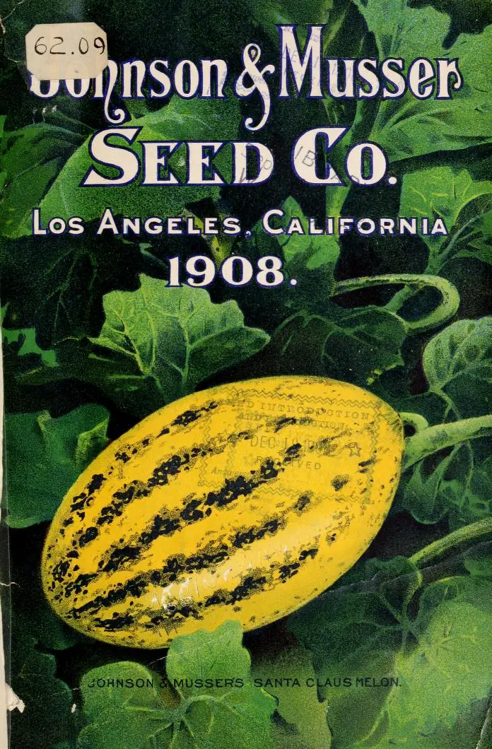 Melon Seeds, Kırkağaç 589 - Image 6