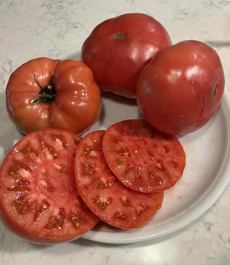 Sliced pink tomatoes in a plate