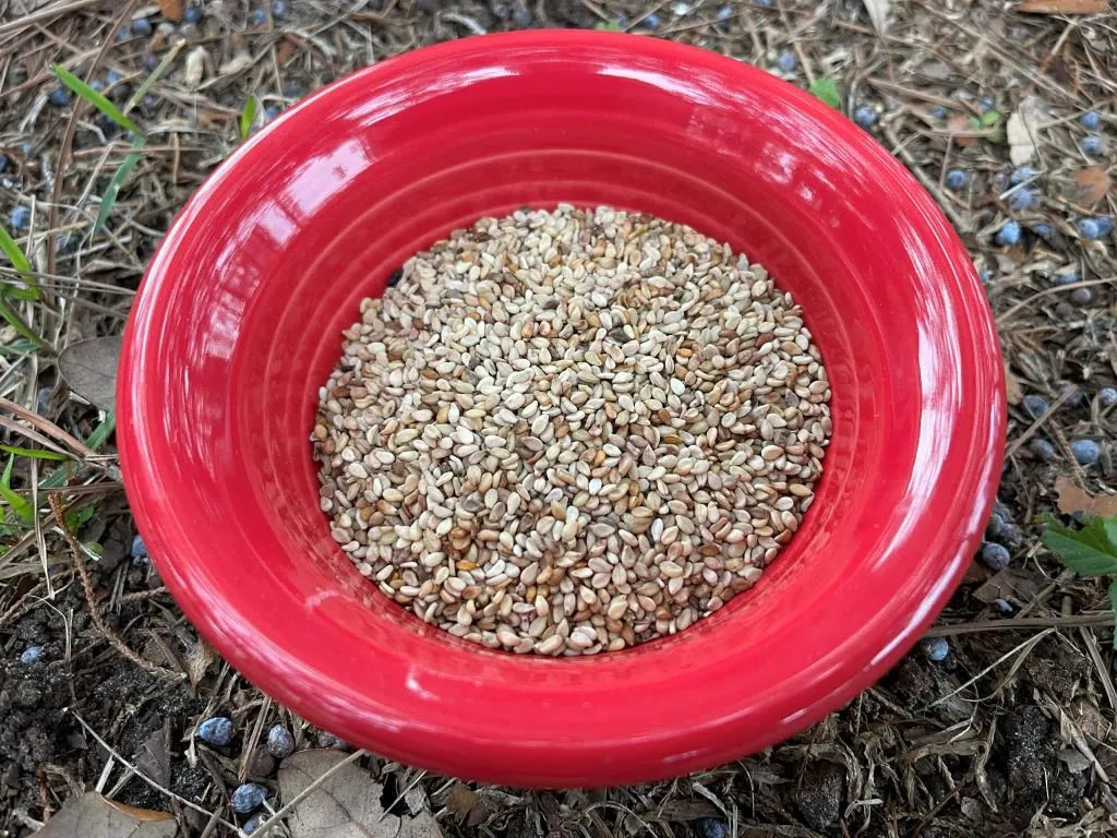 Izmir White sesame seeds in a red bowl