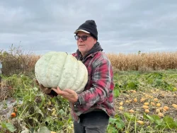Farmer is holding a large fruit of Adapazari winter squash in field