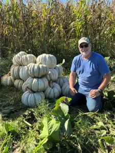 Winter Squash Seeds, Adapazarı Geyve