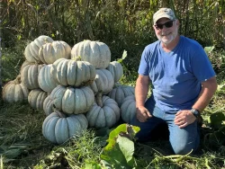Man with stacked Adapazari white pumpkins outdoors