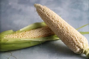 Corn Seeds, Country Gentleman